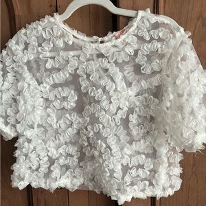 Stunning sheer ruffled short sleeve blouse